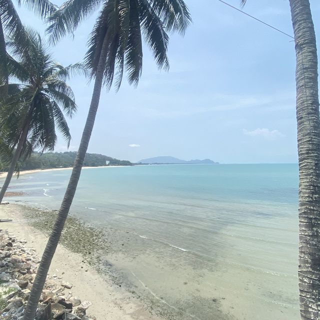 ทะเลขนอมกับร้านอาหารอร่อย