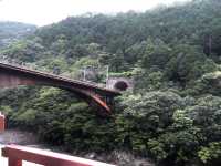 สวนป่าไผ่ &สะพานแม่น้ำสุขใจ @ARASHIYAMA