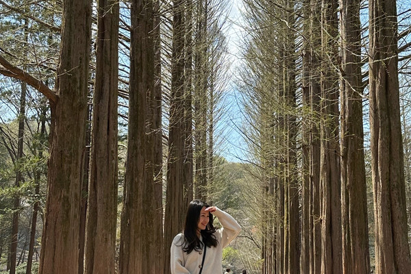 【韓国/南怡島】 冬のソナタのロケ地、ナミソム！ | Trip.com 春川市