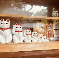 招財貓の寺——豪德寺🐈‍⬛😸