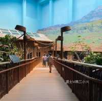 《近距離睇樹懶🦥隱藏的新展館🤩》