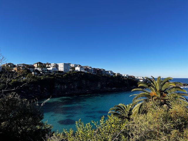 Bondi to Coogee Walk 