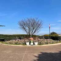 【神奈川】横浜✨港の見える丘公園と展望台