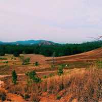 ภูเขาหญ้า