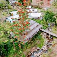 ที่พักริมลำธาร ท่ามกลางหุบเขา บ่อเกลือน่าน