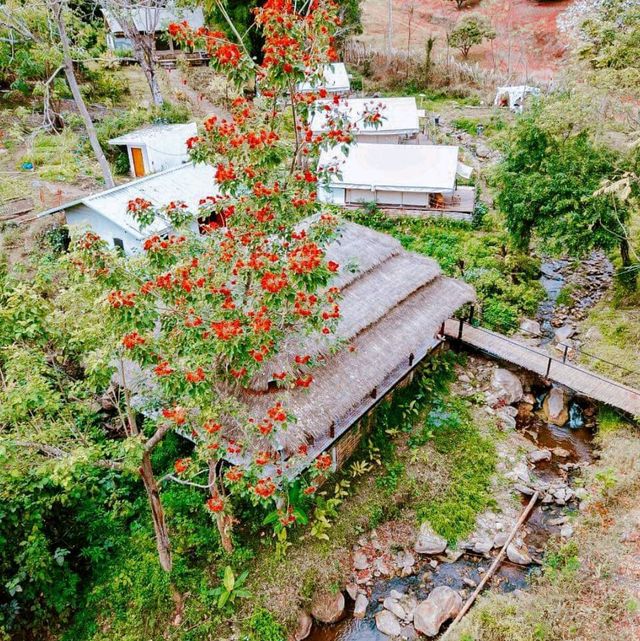 ที่พักริมลำธาร ท่ามกลางหุบเขา บ่อเกลือน่าน