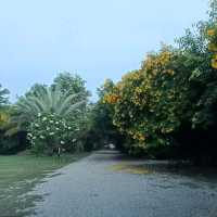 บ้านเรือนรีสอร์ท |กาญจนบุรี