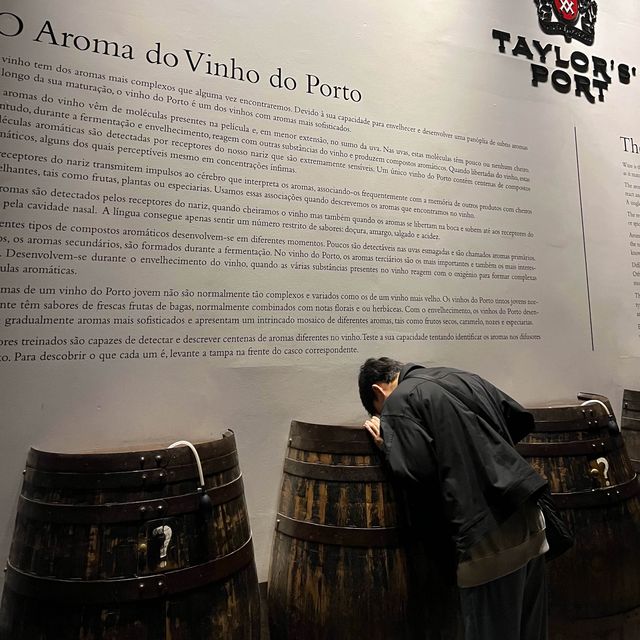 전통과 역사가 깊은 포르투 와인의 제조 공정을 볼 수 있는 곳, 테일러스 와이너리 투어🍷