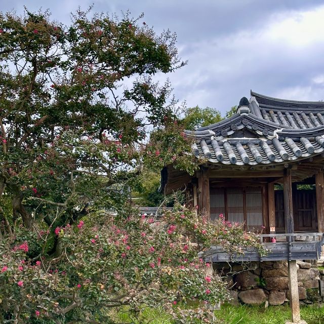 📖 신라의 역사가 담긴 평화로운 서출지 산책여행을 떠나보세요! 💚