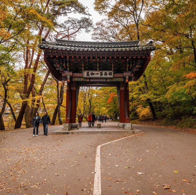 Beautiful Autumn View Of Beopjusa Temple 