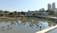 Hong Kong Wetland Park - Wetland and Marshes