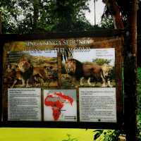 Best Zoo 🌺