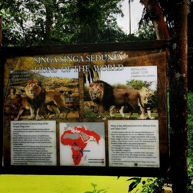 Best Zoo 🌺