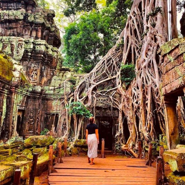 Incredible Cambodia Temples 🥰