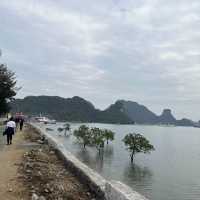 One Night in Halong Bay/ LanHa Bay 🌊🌊