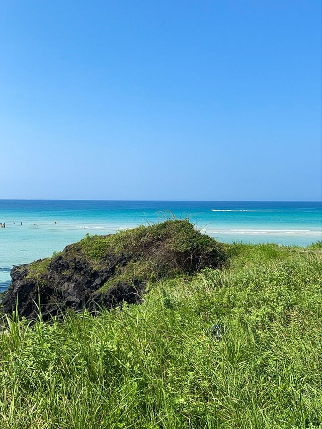 제주에서 가장 해외 같은 곳! ‘함덕해수욕장’ 을 소개합니다~!!!🌊💙