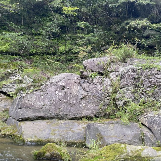 日光＆鬼怒川温泉