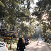 อุทยานแห่งชาติคลองวังเจ้า ⛰️🏕️