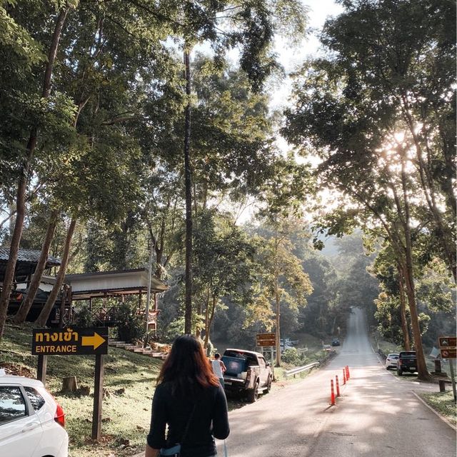 อุทยานแห่งชาติคลองวังเจ้า ⛰️🏕️