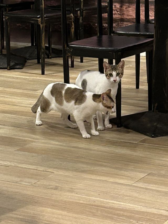 隱世村屋露天茶座