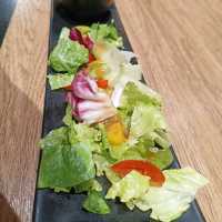 屏東陶板屋 特色餐點 高品質服務 慶生好選擇 