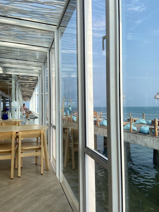 แสมสารมารีน่า 🌊