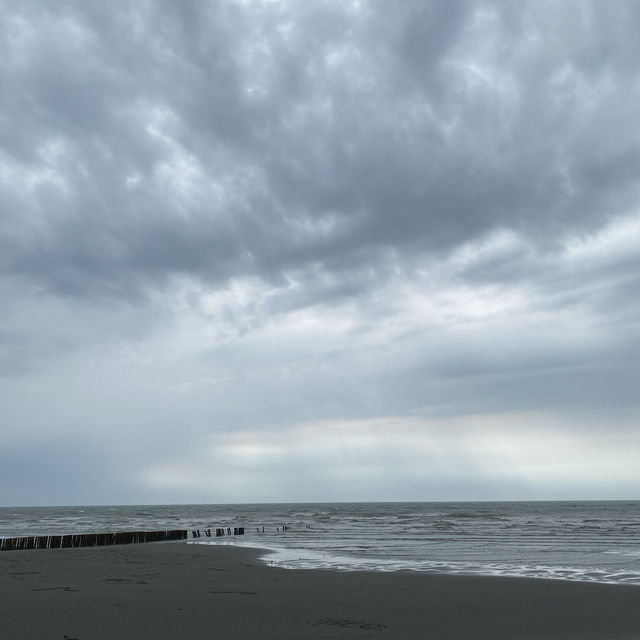 新月沙灘 🏖️ 在竹北