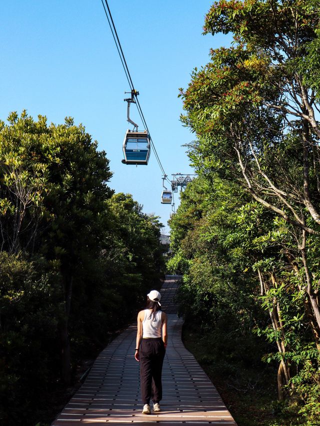 香港昂坪360｜坐上全景透明纜車飛越山海🚡