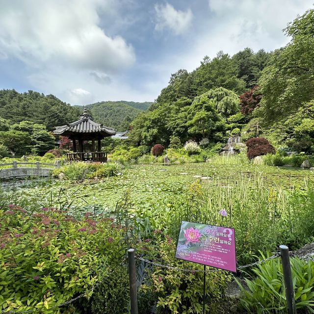 Top 3 spots in Garden of Morning Calm, Seoul