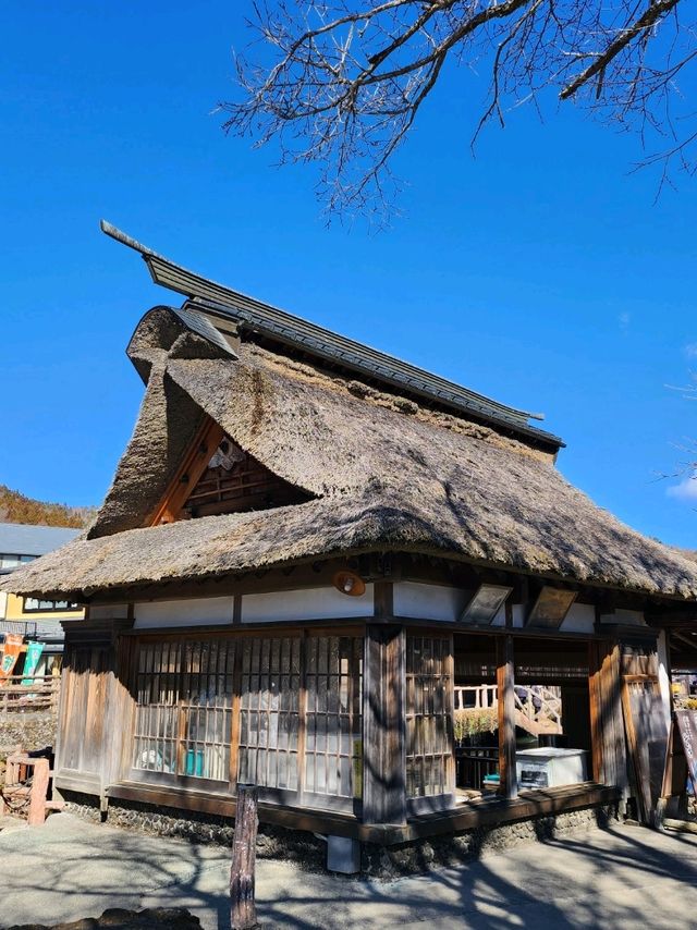忍野八海🏔看到富士山之世外桃園