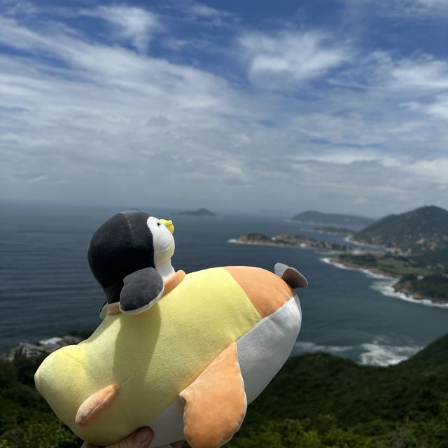 飛機鵝和橙鵝烈日行山🥵