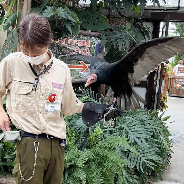大人小孩都喜歡的神戶動物王國