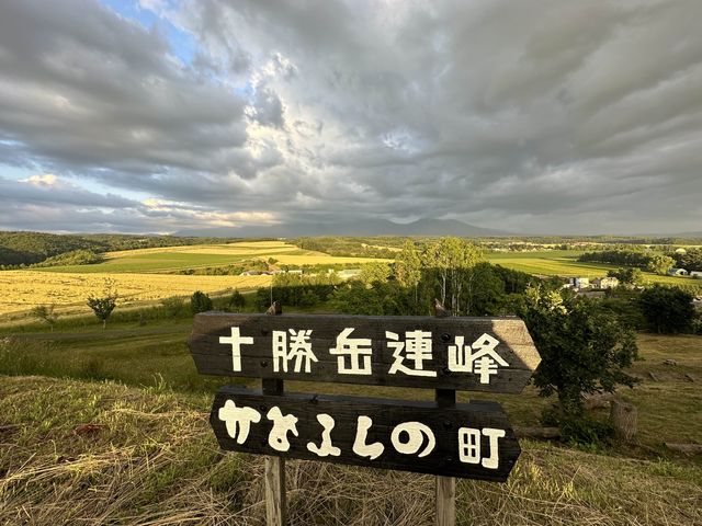薰衣草婚照勝地 — 日之出公園