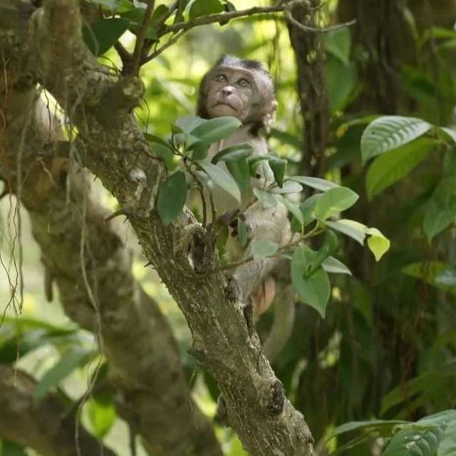 Me and the cute monkeys at MacRitchie