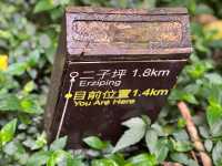 陽明山二子坪步道，非常簡單容易完成，適合親子來散步觀賞生態
