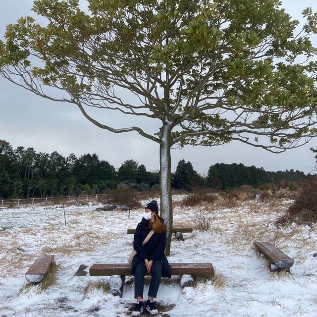 눈이 오면 더욱 아름다운 제주 아부오름 💚