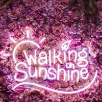 Healthy Tasty Meal at Walking On Sunshine