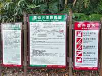 新北-清朝留下的古道🌿草嶺古道|（風景優美）