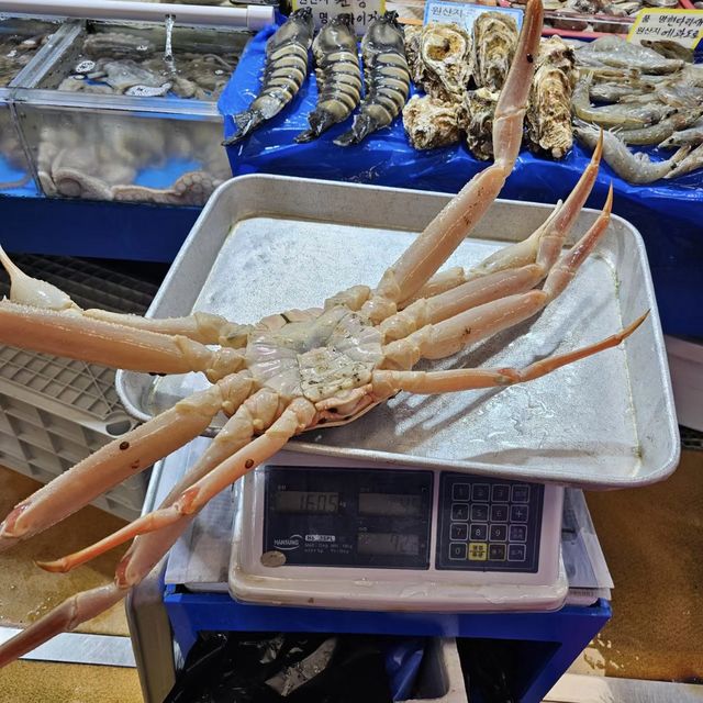 海鮮狂歡！在首爾的鷺梁津水産市場品嚐美味海鮮大餐！🦞🐟🍽️