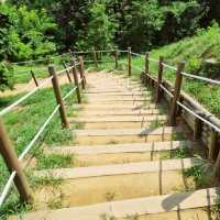 고난이도 등산코스 <계양산> ⛰️🪨
