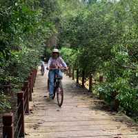 ផ្លូវកង់សម្រាប់នៅអង្គរវត្តនិងប្រាសាទនាគព័ន្ធ