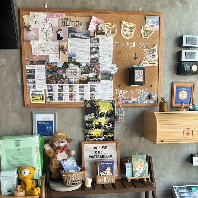 📍: Sleepy House 🐱🏡✨