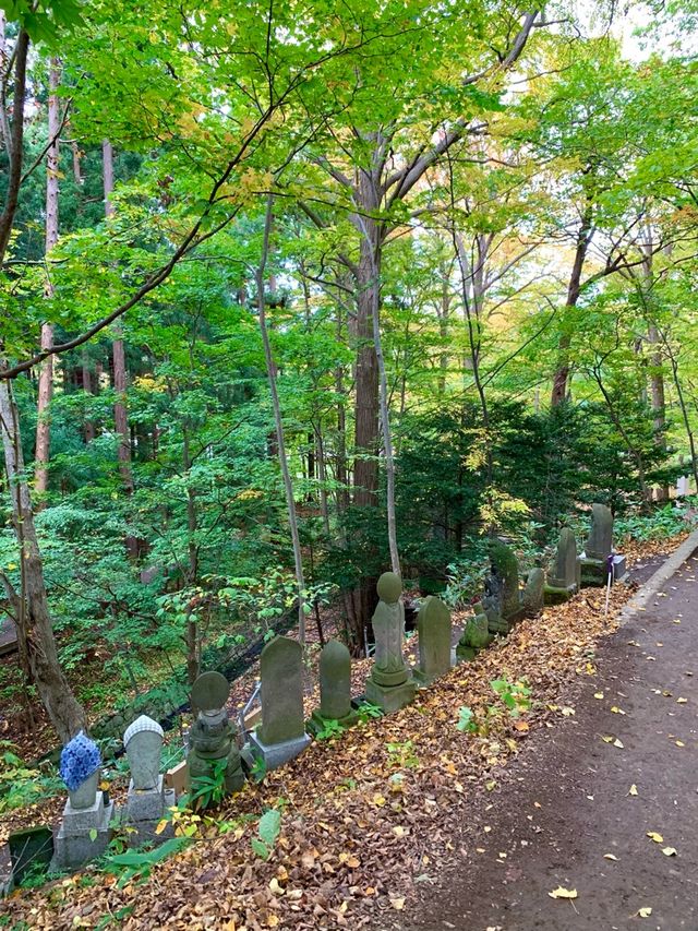 北海道　北海道観光　札幌の旅　札幌中心地で登山　円山八十八カ所の紅葉が見頃！