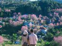 บ้านร่องกล้า