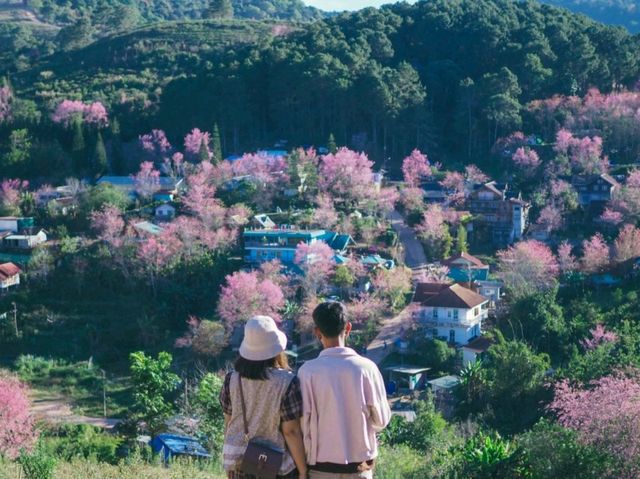 บ้านร่องกล้า