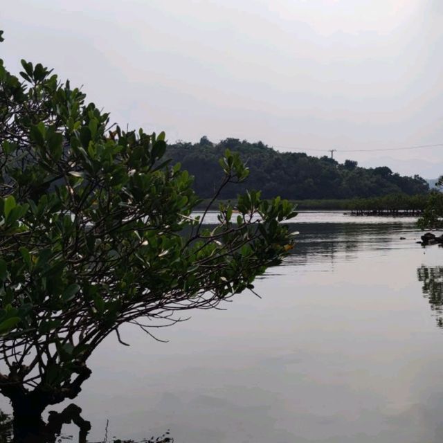 一條具歷史價值仍保留不差之行人跨海石橋 一條具歷史價值仍保留不差之行人跨海石橋