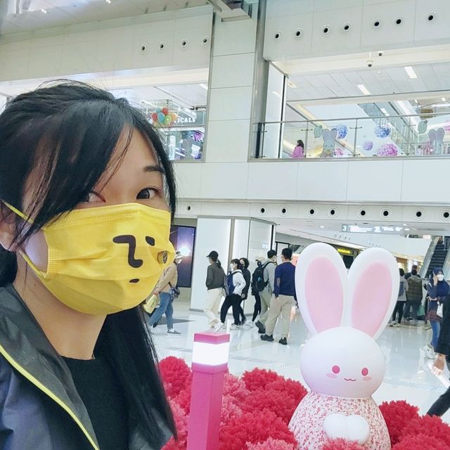 跟著萌兔遊花海