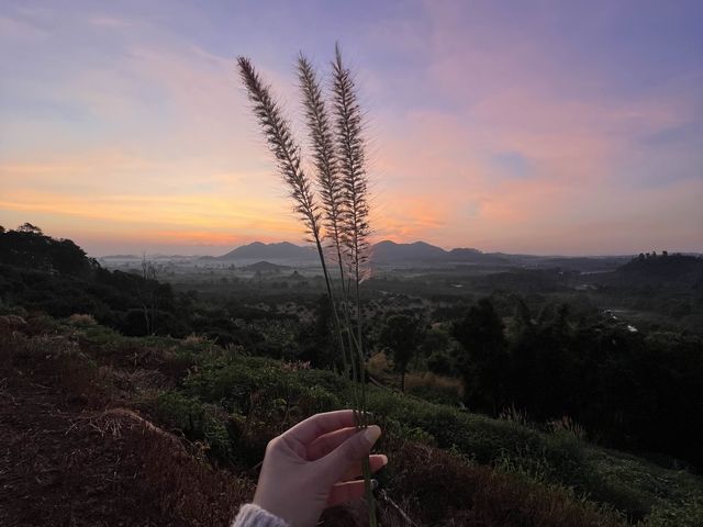🏔️✨ หินวางแคมป์ เที่ยวใกล้ชิดธรรมชาติแบบฟินๆ 🍃