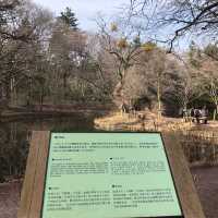 Kumoba Pond in Karuizawa