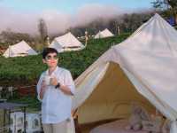 CAMP Phuchifa แคมป์ภูชี้ฟ้า 